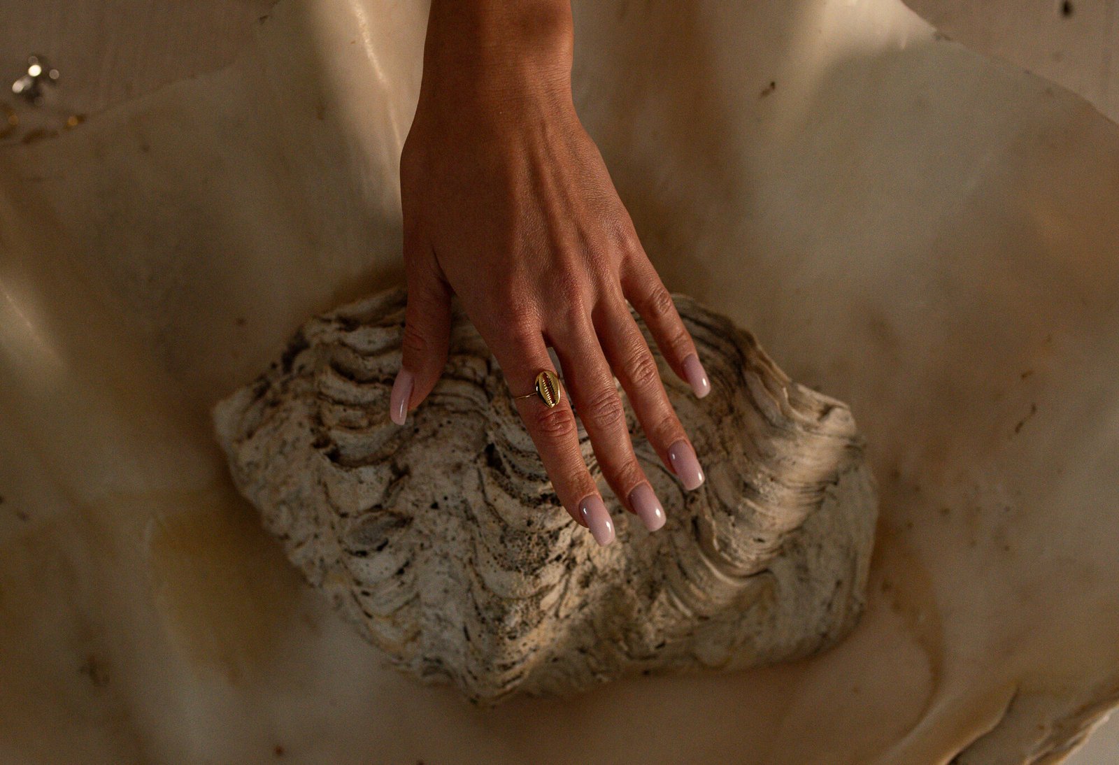 Alternative view of Srebrny pierścionek Kauri